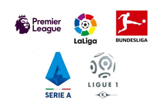 双方不仅在 双方不仅在